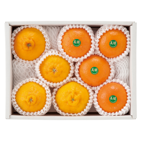 啪Y nEXʂfR|nzY (݂) (SDM-40)y͂ԁF12{`z